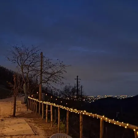 La Pina * Tarzo