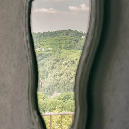 La Pina Tarzo
