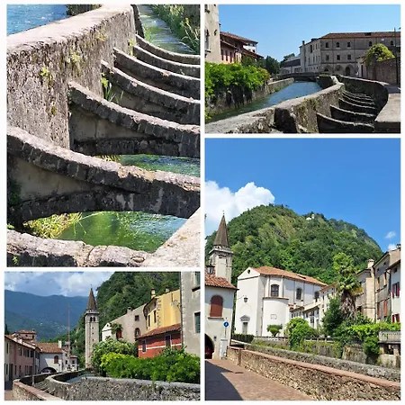 La Pina * Tarzo