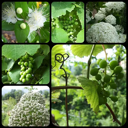 Alloggio per agriturismo La Pina *